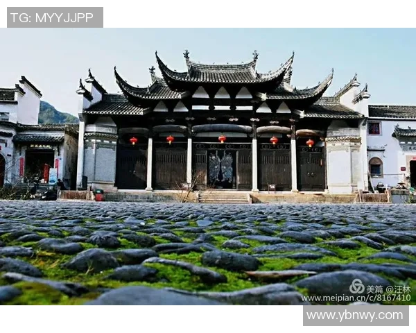 卡昂与里昂激战正酣体育直播精彩瞬间全程回顾